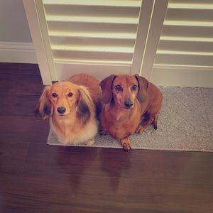 Meet your Posher, Lavonne